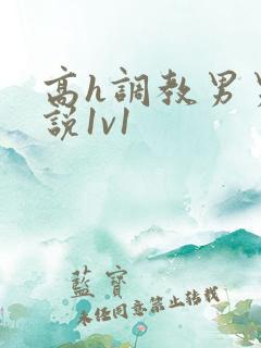 高h调教男男小说1v1