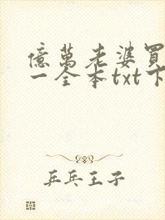 亿万老婆买一送一全本txt下载