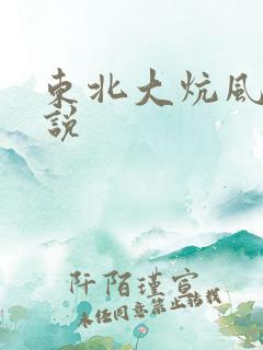 东北大炕风流小说
