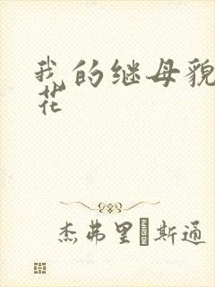 我的继母貌美如花