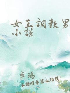 女王调教男奴的小说