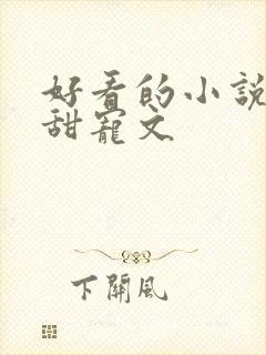 好看的小说言情甜宠文