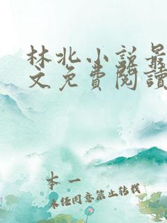 林北小说最新全文免费阅读