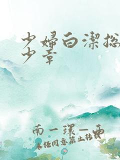 少妇白洁总共多少章