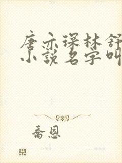 唐亦琛林舒温晴小说名字叫什么