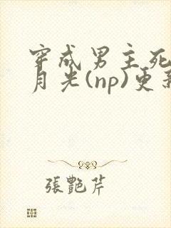 穿成男主死遁白月光(np)更新时间