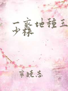 一亩地种玉米多少株