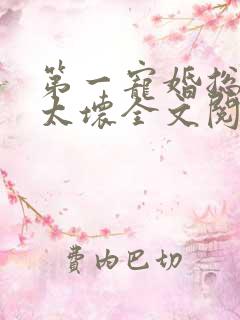 第一宠婚总裁别太坏全文阅读