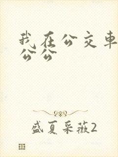 我在公交车上被公公