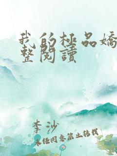 我的极品娇妻完整阅读