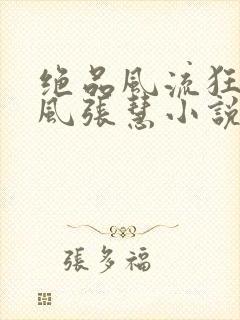 绝品风流狂医林风张慧小说
