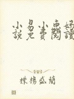 小易小惠妈妈小说免费阅读