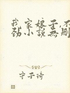 我家娘子,不对劲小说无删减版