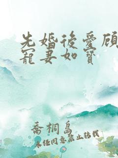先婚后爱顾先生宠妻如宝