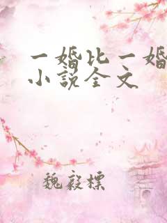 一婚比一婚还高小说全文