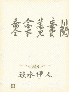 乔念叶妄川小说全本免费阅读言情