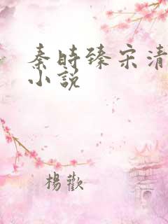 秦时臻宋清欢的小说