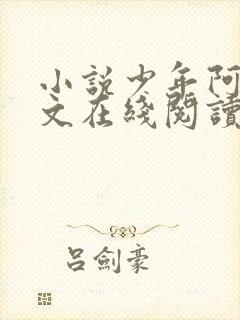 小说少年阿宾全文在线阅读