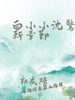白小小沈惊觉最新章节
