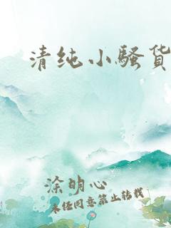 清纯小骚货小说