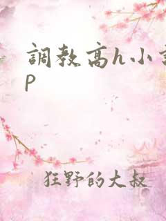 调教高h小说np