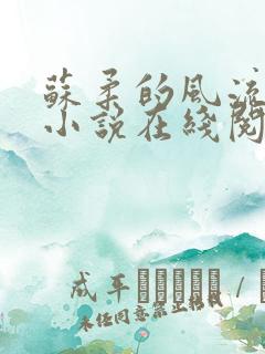 苏柔的风流人生小说在线阅读全文免费