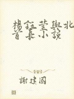 杨钰莹与北京老首长小说