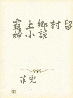 霸上乡村留守村妇小说