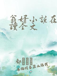 翁婿小说在线阅读全文