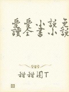 爱爱小说免费阅读全书小说乡村