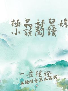 极品好儿媳陈梅小说阅读