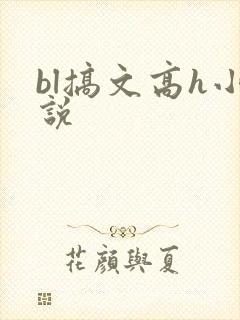 bl搞文高h小说