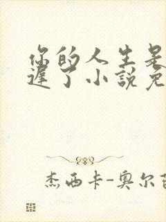 你的人生是我来迟了小说免费阅读