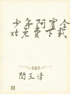 少年阿宾全本txt免费下载