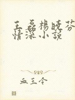 王磊杨晓芬后妈情深小说