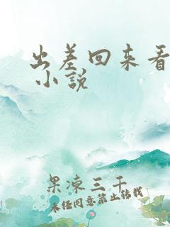 出差回来看母亲 小说