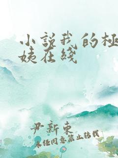 小说我的极品小姨在线