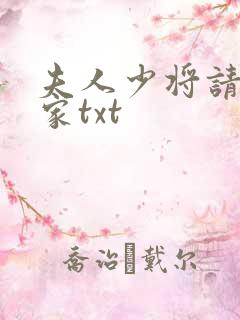 夫人少将请您回家txt