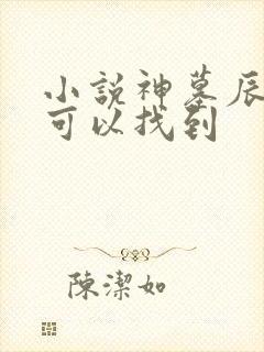 小说神墓辰东哪可以找到