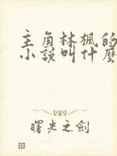 主角林枫的都市小说叫什么