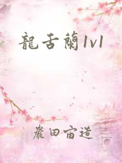 龙舌兰1v1