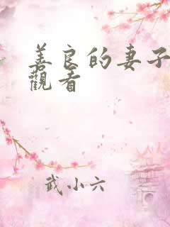 善良的妻子在线观看