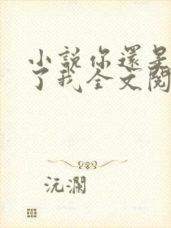 小说你还是错过了我全文阅读