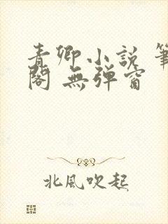 青卿小说 笔趣阁 无弹窗