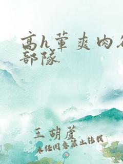 高h荤爽肉欲文部队