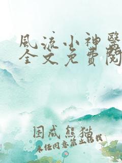 风流小神医小说全文免费阅读