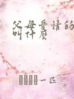 父母爱情的老丁叫什么