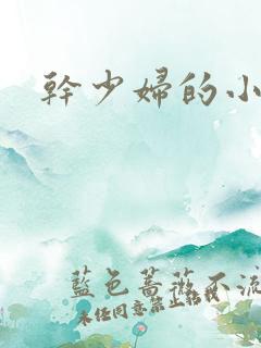 干少妇的小说