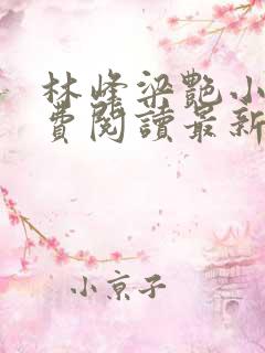 林峰梁艳小说免费阅读最新章节列表