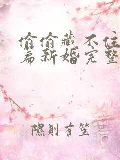 偷偷藏不住番外篇新婚完整版